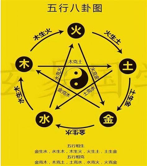 木的五行|探秘五行学说：木元素的意象与独特属性